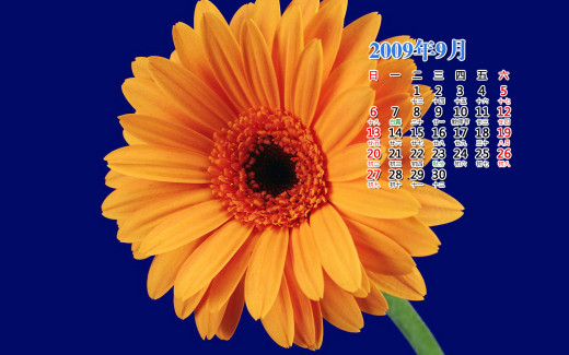 476303 (a): :1440x900